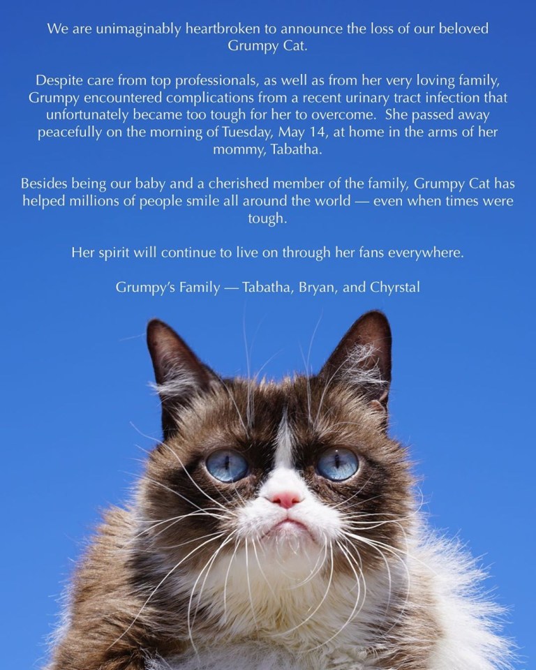 Grumpy Cat's family announced she'd died in a statement