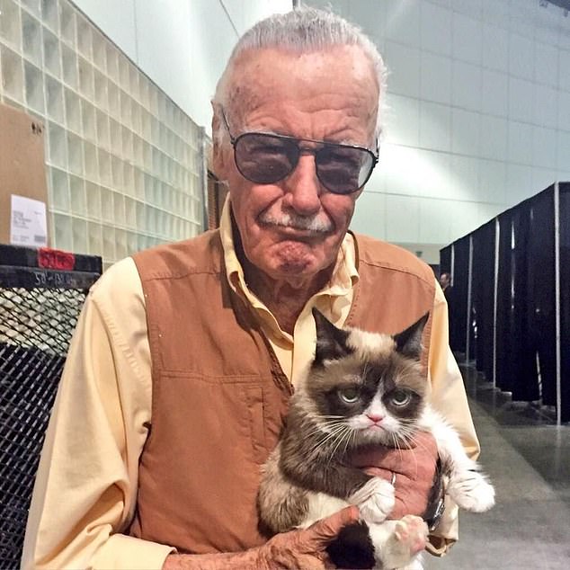  Marvel Comics legend Stan Lee poses with the disgruntled cat