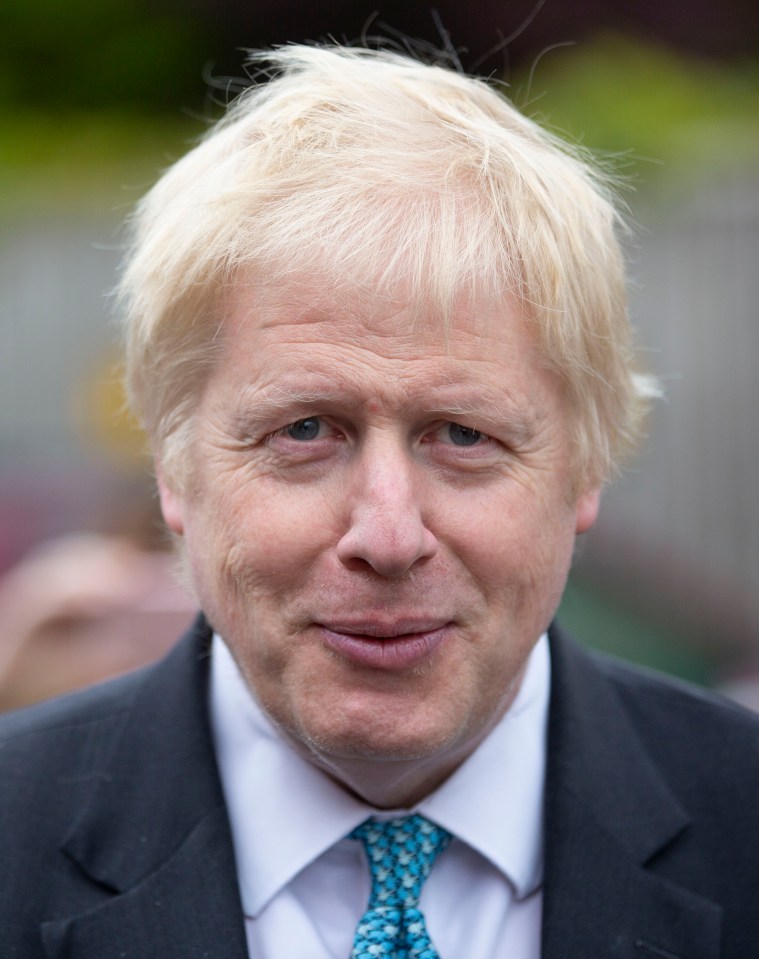  Boris Johnson leads a field of 11 candidates battling for Tory leadership