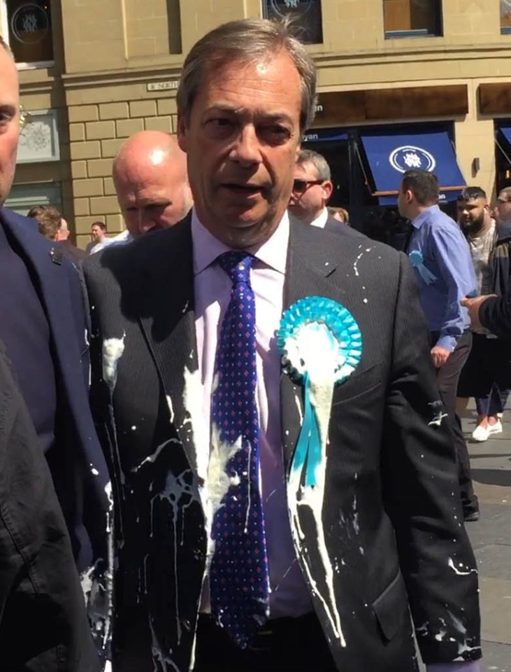 Nigel Farage after he was doused in milkshake during a campaign walkabout in Newcastle