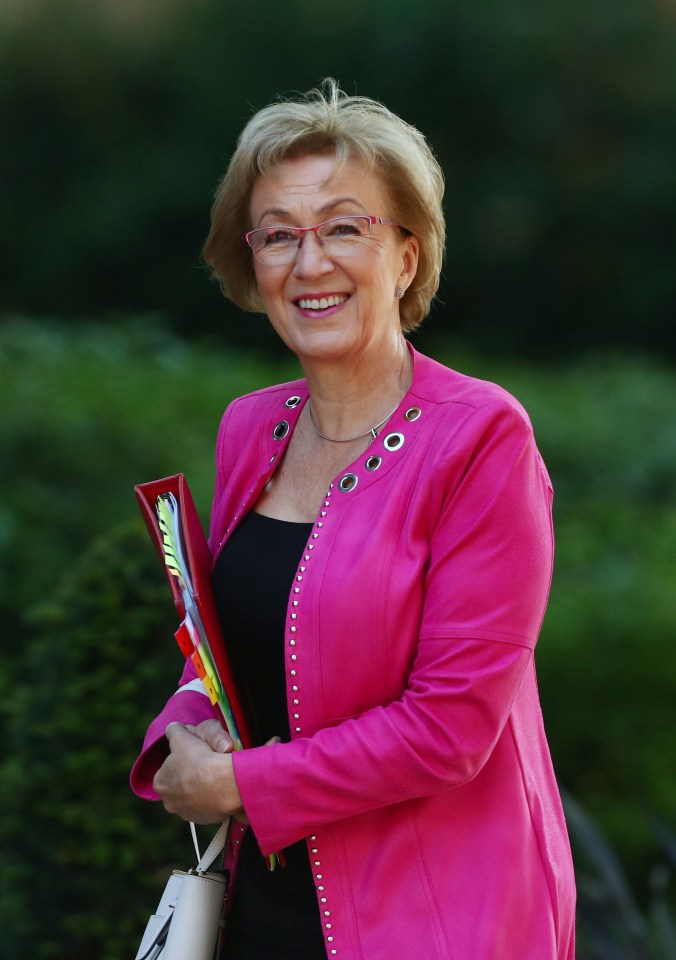 Andrea Leadsom said she would continue to support the bill as long as it delivers Brexit