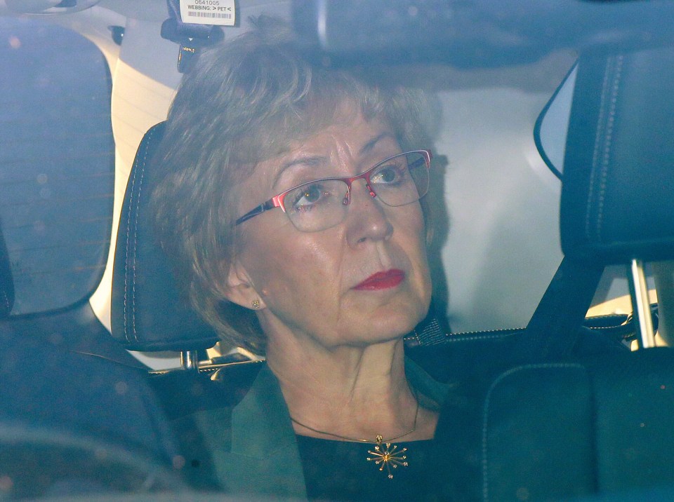 Ex-Leader of the House of Commons Andrea Leadsom leaves the Houses of Parliament in Westminster