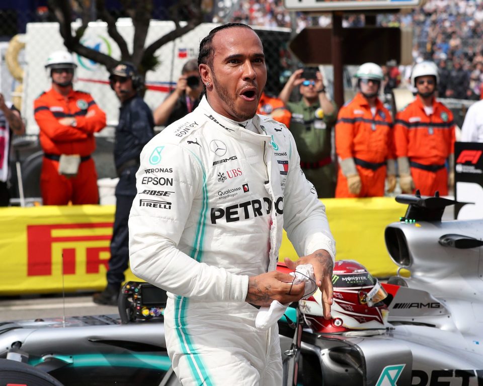  Lewis Hamilton went wild after he secured pole position