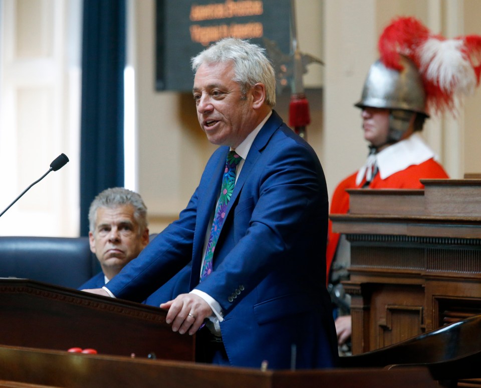  John Bercow could face a fresh coup attempt from MPs