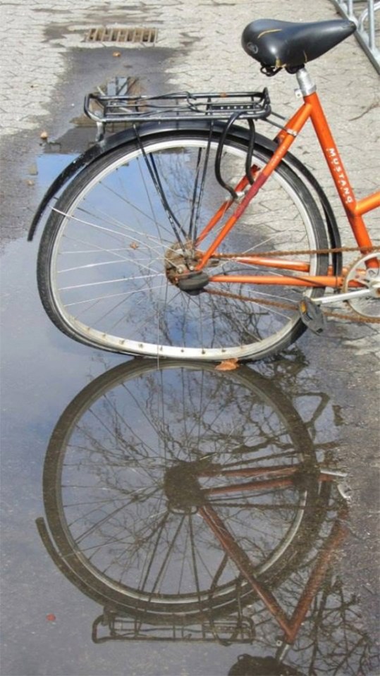  This bicycle looks far to bendy to go out for a ride on