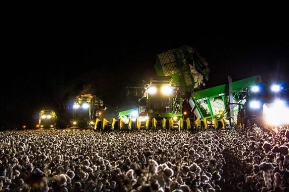  This is a novel way to combine concert with farming