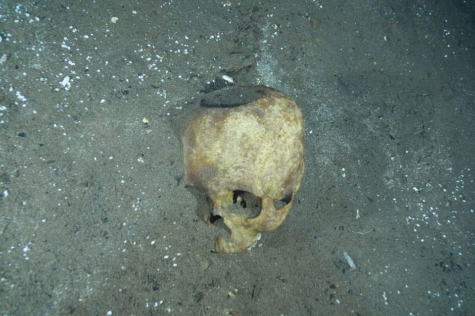  This ancient skull was used by Mayan tribesmen to burn incense