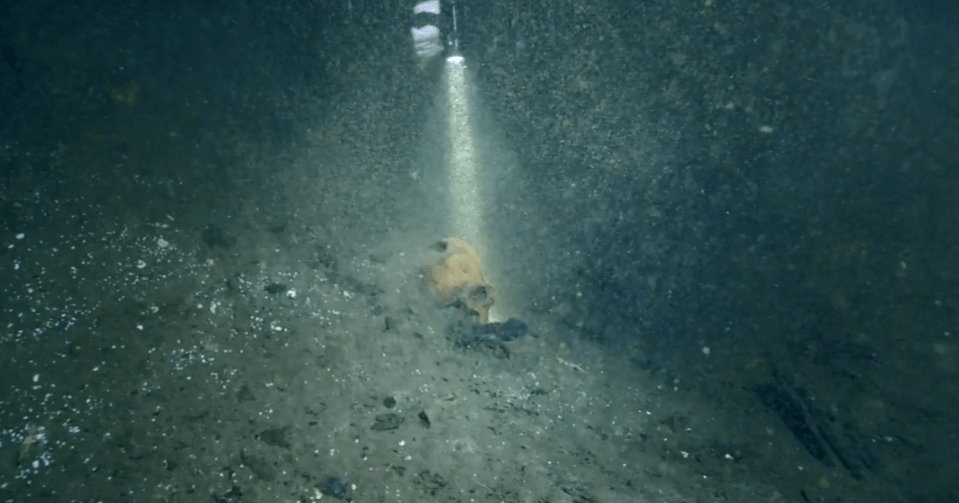  Divers discovered the skull in underwater caves near the famous Mayan city of Chichen Itza