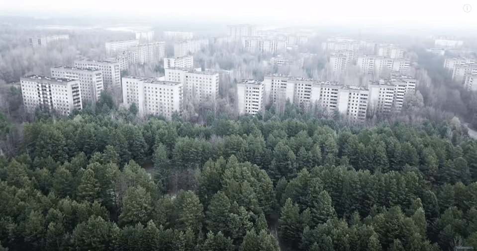  The disaster zone is set against a stunning forest backdrop