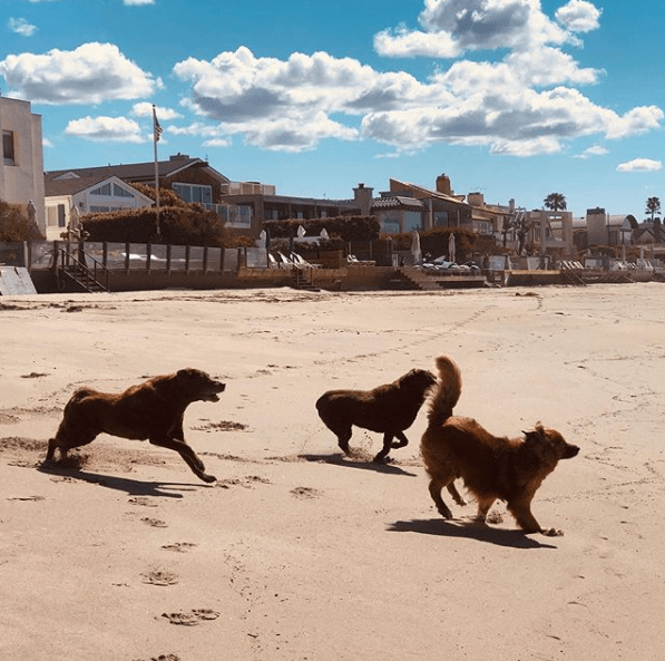 The soap star loves to post beautiful landscapes of the beach near to her home