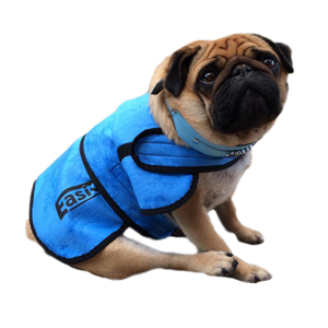  A cooling coat can help make sure that your dog is comfortable throughout the heatwave