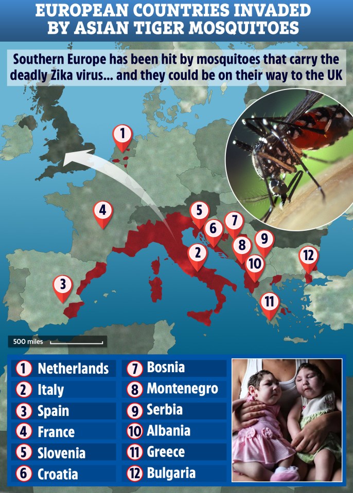  These are the European countries which have reported Asian tiger mosquito invasions for the past five years in a row