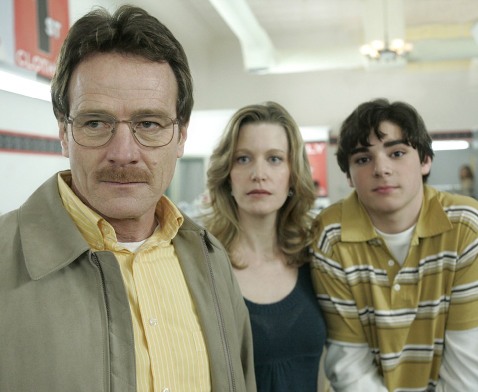  Anna Gunn in the award-winning series Breaking Bad