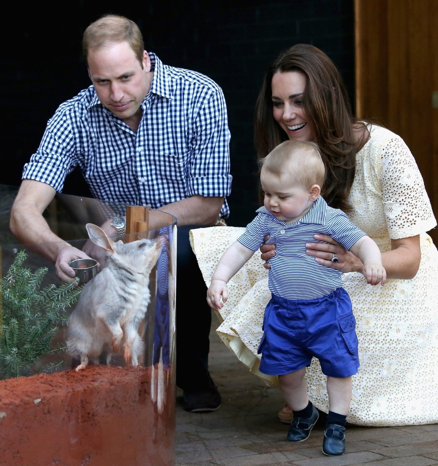 Prince George was treated to a visit to the zoo