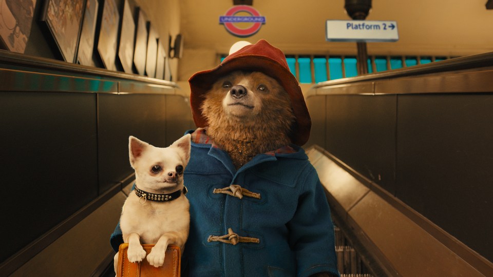  Paddington Bear has starred in two films and lots of books