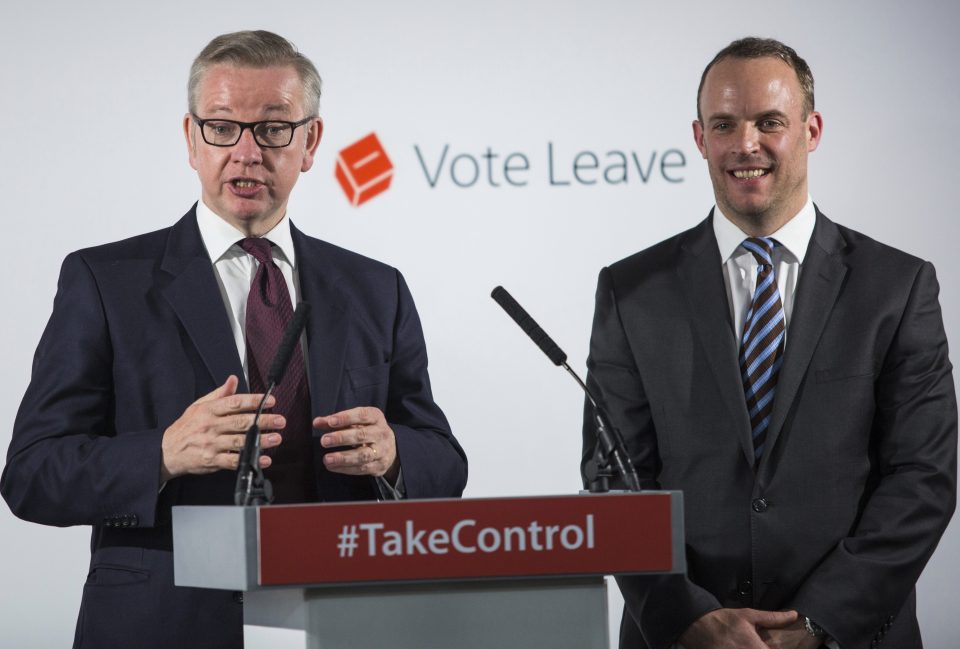  Dominic Raab campaigns for Vote Leave with Michael Gove, who also wants to become PM