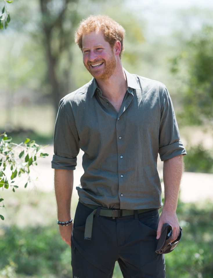  Prince Harry during a visit to the Southern African Wildlife College in 2015