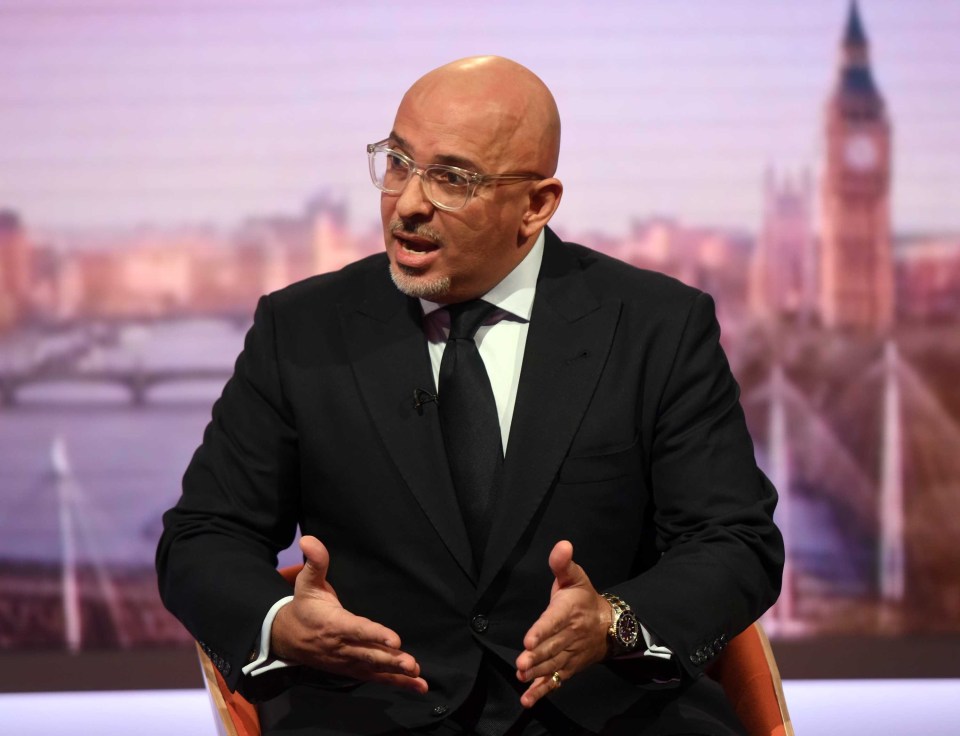  Raab supporter Nadhim Zahawi said about Mr Johnson that the public 'don’t want a controversial face from the past'