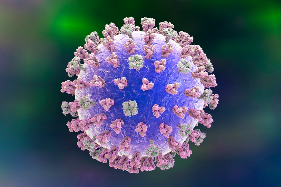  A deadly flu epidemic could be on its way to the UK after Australia sees an outbreak of the virus, computer image of the influenza virus