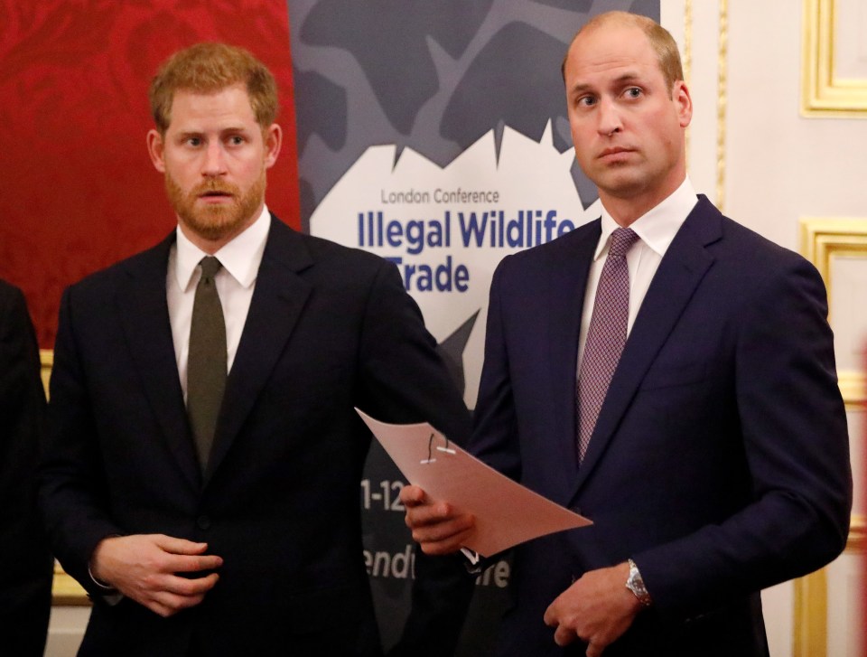 The brothers reportedly fell out after Prince William’s concerns about Meghan Markle ‘went down quite badly’ with Prince Harry