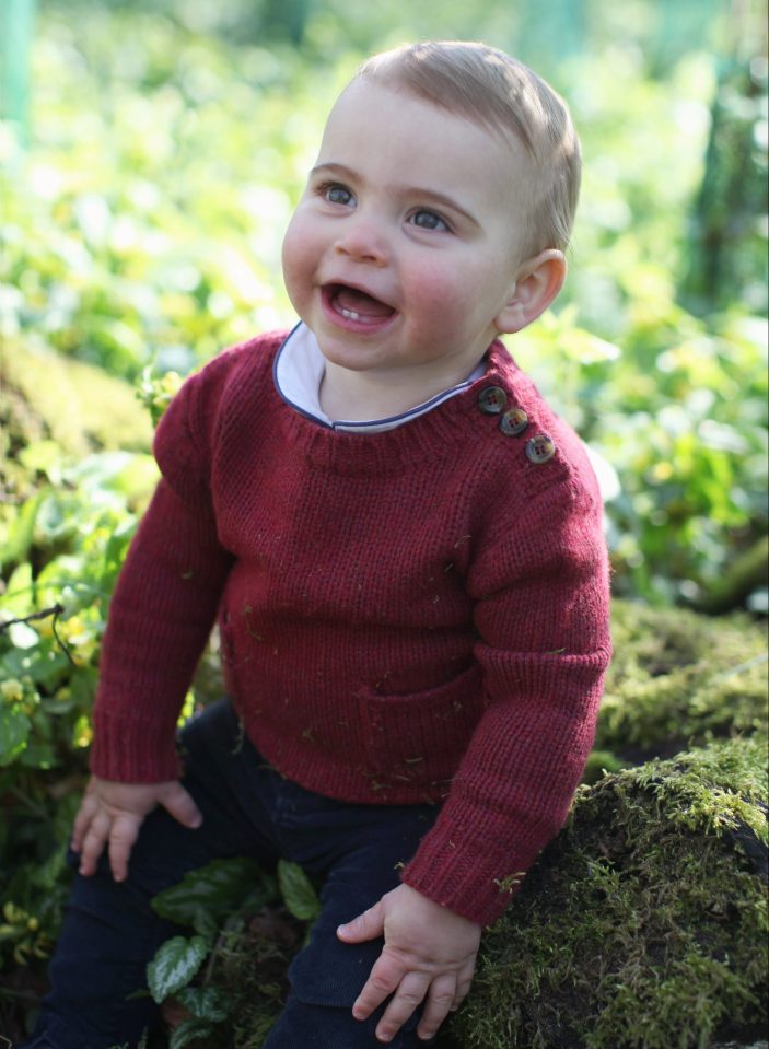  Prince Louis will be appearing alongside his siblings