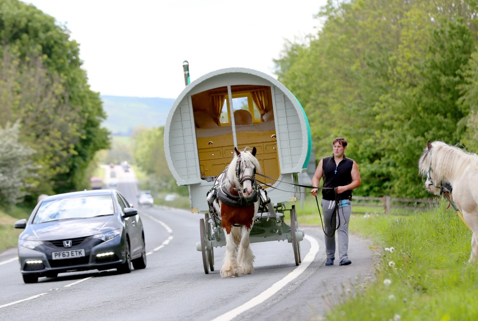  Horse trader Joe Wilkinson from Bradford, guides his horse, Rosie, on the A65 at Clapham, North Yorkshire - on the way to the fair