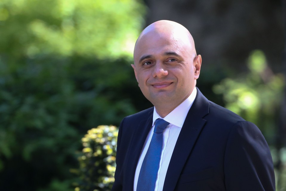 Mr Javid has promised to make Britain’s schools ‘the envy of the world’ if he becomes Prime Minister