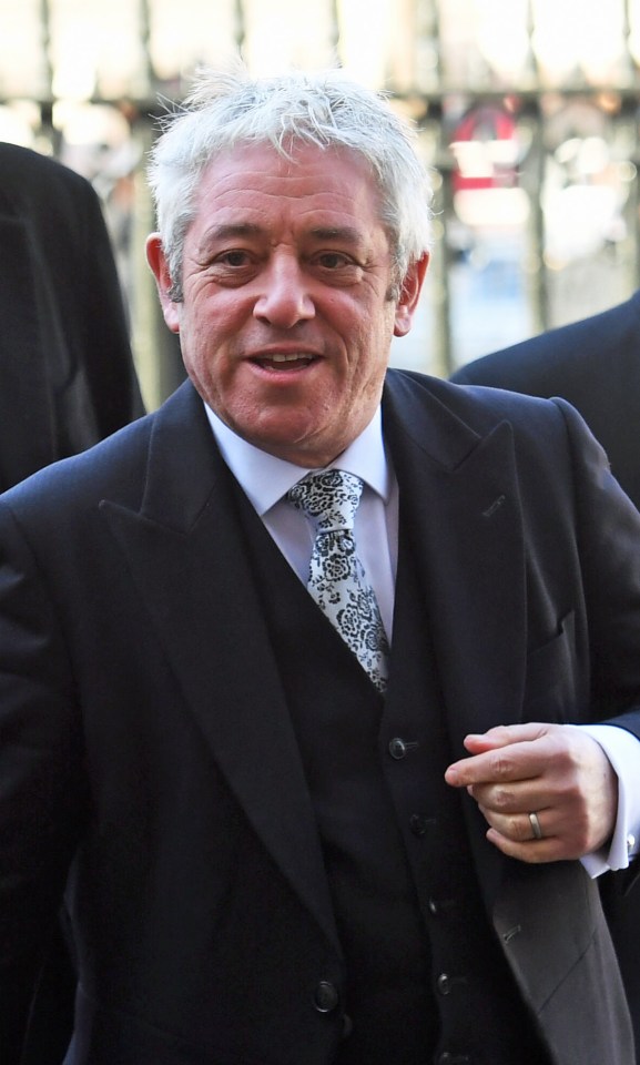  Commons Speaker John Bercow has spent £250,000 of taxpayers money to fund his globe-trotting lifestyle