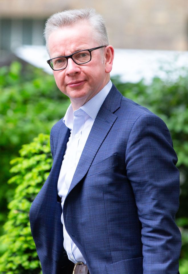  Michael Gove has admitted to taking cocaine 'on several occasions' as a young journalist