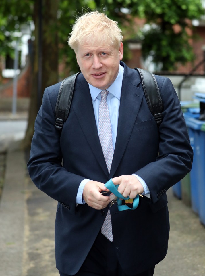  Mr Hill hoped that if Boris Johnson became PM he would be ousted like David Cameron