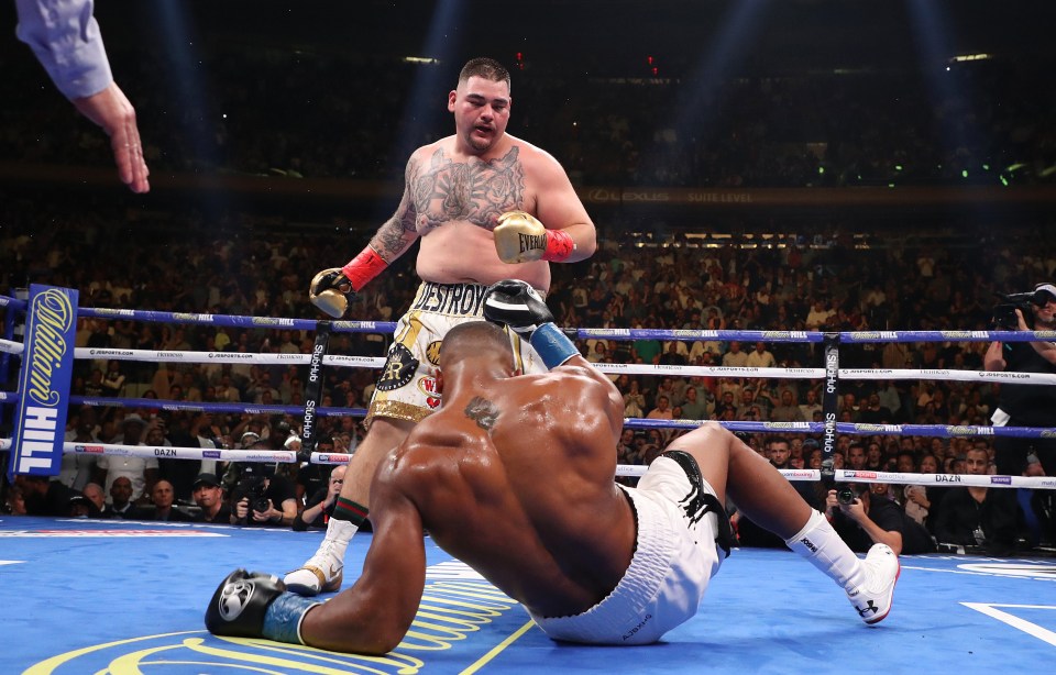 Anthony Joshua was sent crashing to the floor FOUR times during his fight with Andy Ruiz Jr