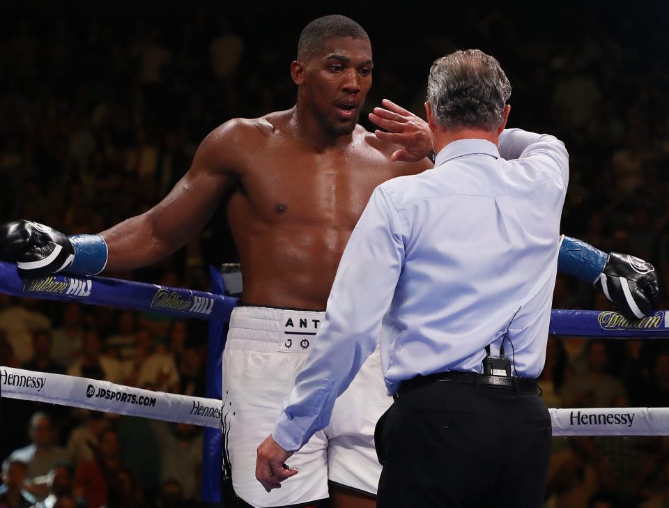  Anthony Joshua was concussed during his shock defeat to Andy Ruiz Jr