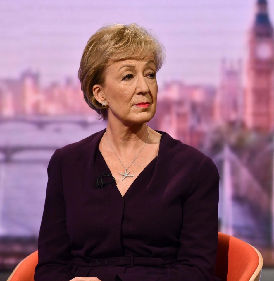 Boris’ rival campaigns warned against any ‘stitch-up’ – pictured leadership hopeful Andrea Leadsom