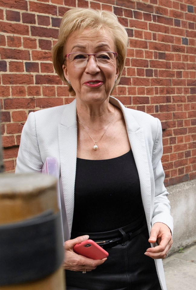  Andrea Leadsom is desperate to stay in the leadership race