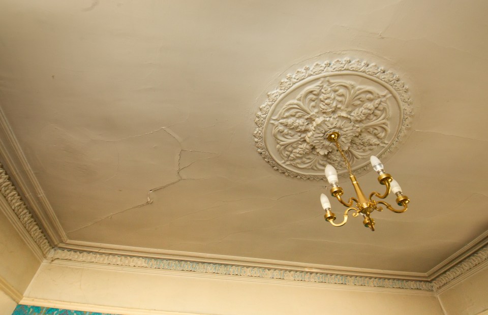  They're hoping to save the original ceiling roses