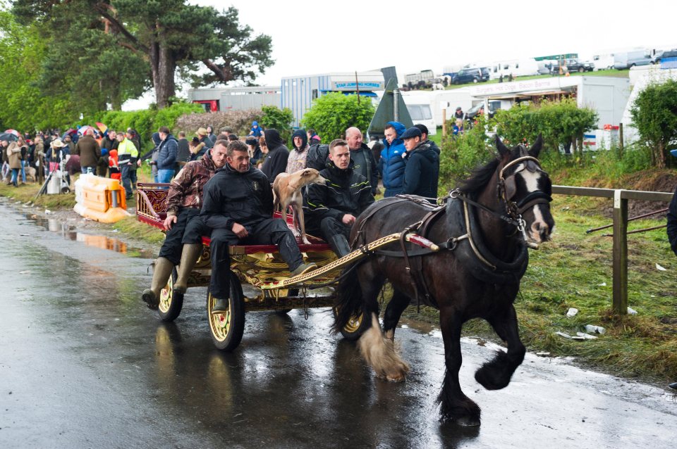  Thousands braved the bad weather to take part in the show