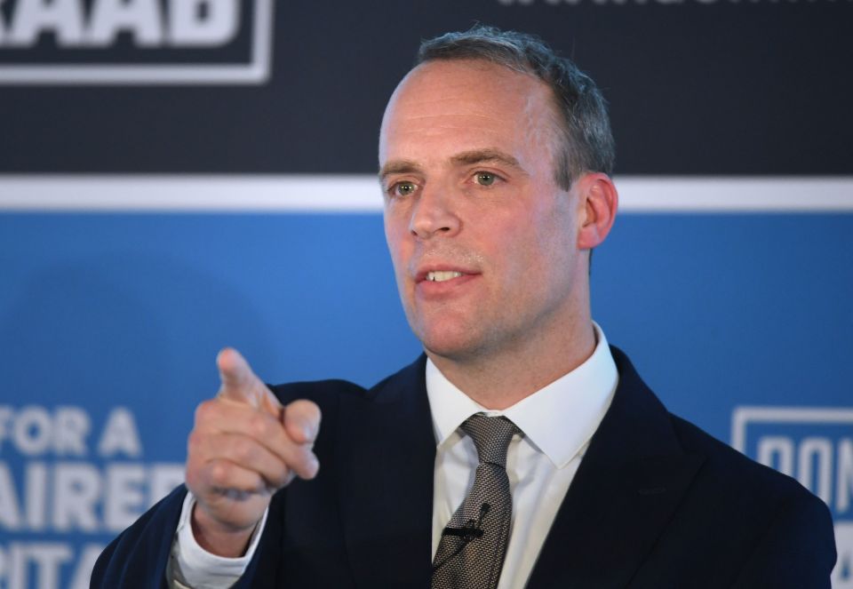  Dominic Raab questioned Boris Johnson's 'mettle' to take on the top job