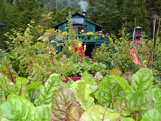  King grows enough vegetables for them both to eat all year round