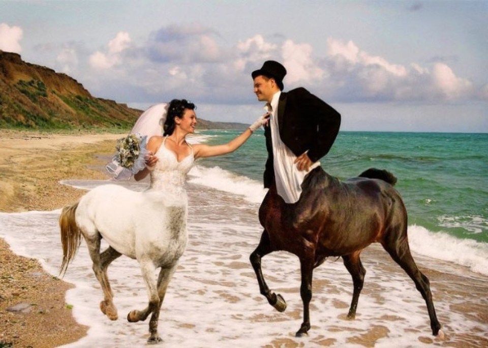  It's a happy ending for this centaur couple