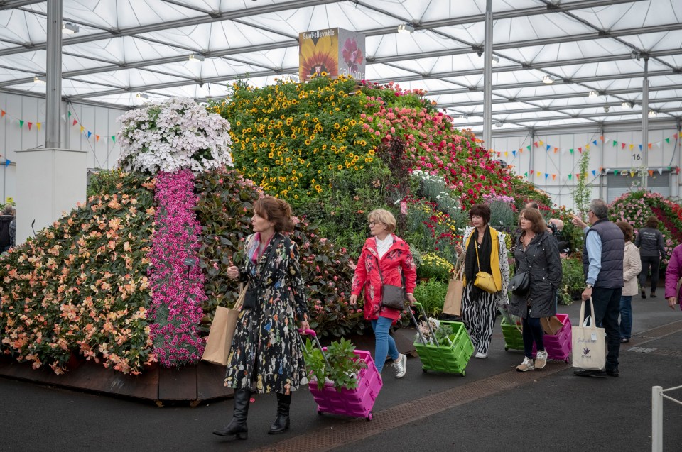  Flower lovers can enjoy the SunBelievable display at the NEC in Birmingham this weekend