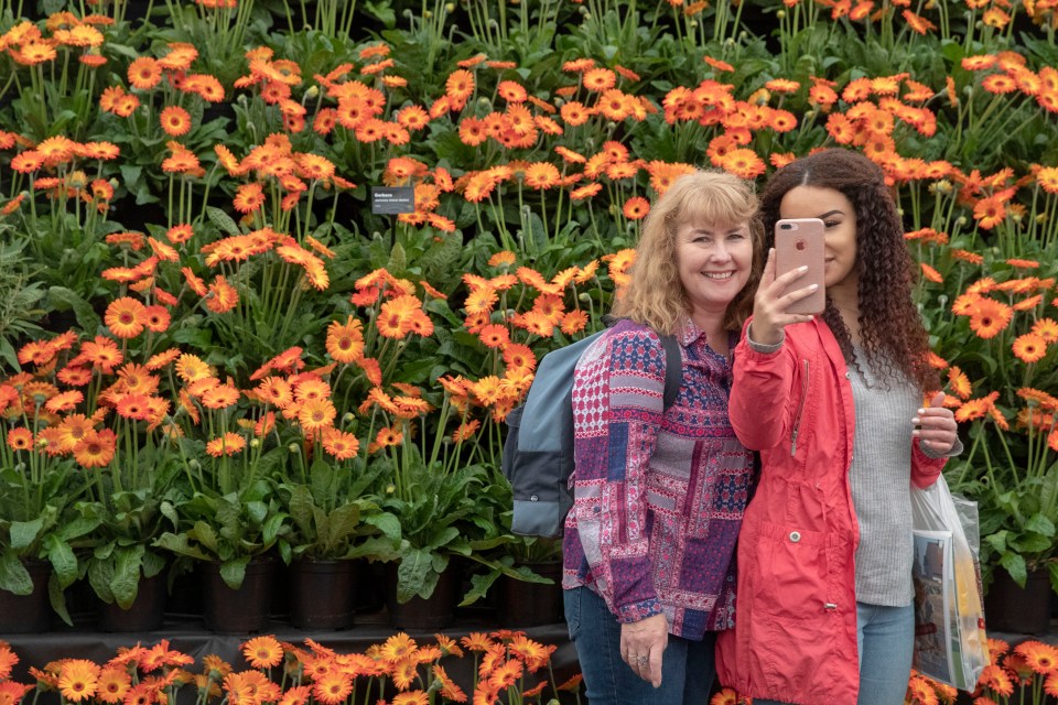  There are almost 100 of these new plant varieties in the SunBelievable display for people to enjoy