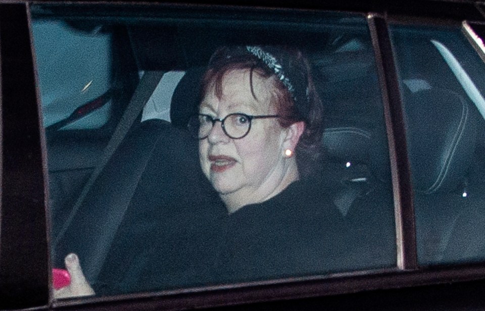 Jo Brand has issued an apology after joking about throwing battery acid at politicians