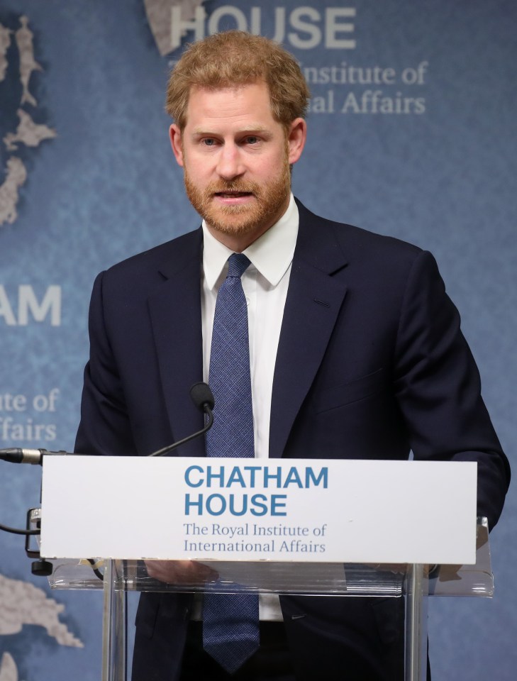  Prince Harry has backed a £47million initiative to rid the Angola of landmines during speech at Chatham House in central London