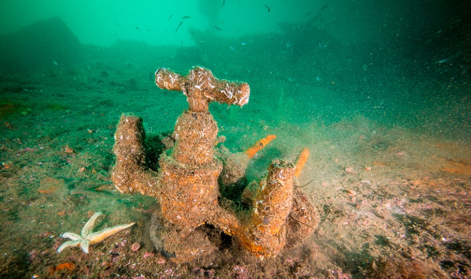  A tap from the SMS Karlsruhe rusts on the seabed