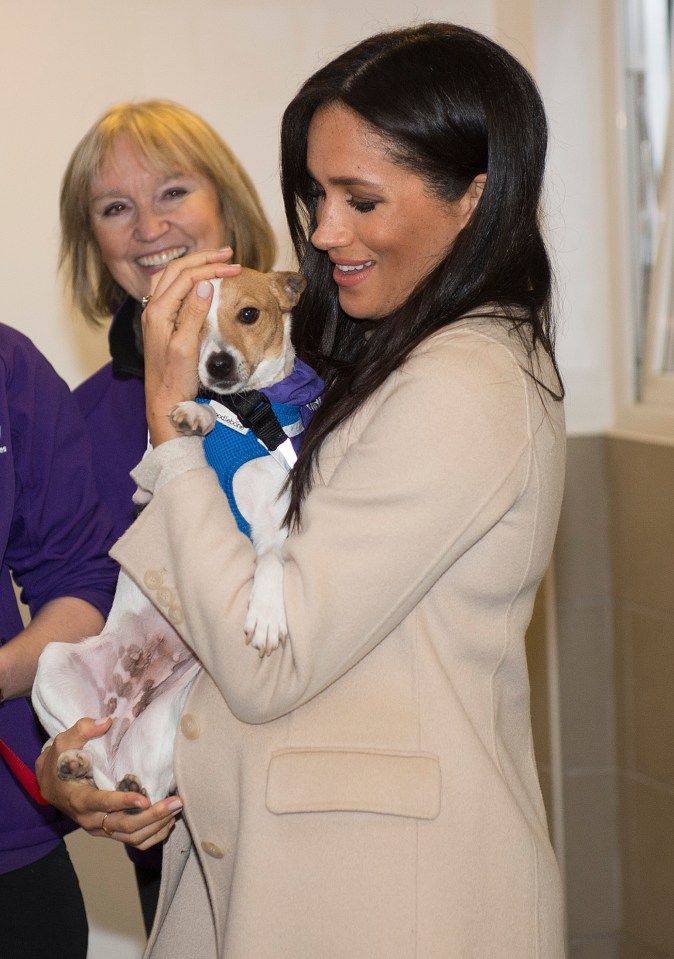  The Duchess cuddled a Jack Russell named 'Minnie' during a visit to the Mayhew charity in January