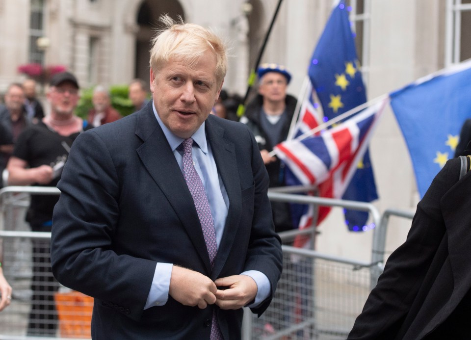  Boris has insisted the Irish backstop and other problems could be resolved 'in the implementation period'