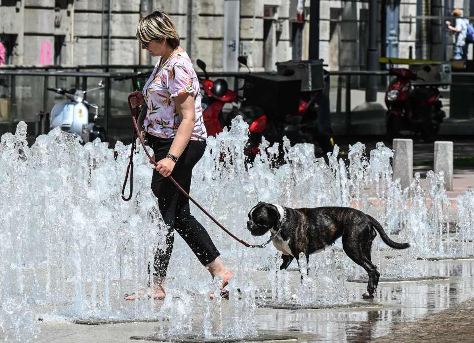  A woman walks her dog through a fountain installation in the French eastern city of Lyon on June 24