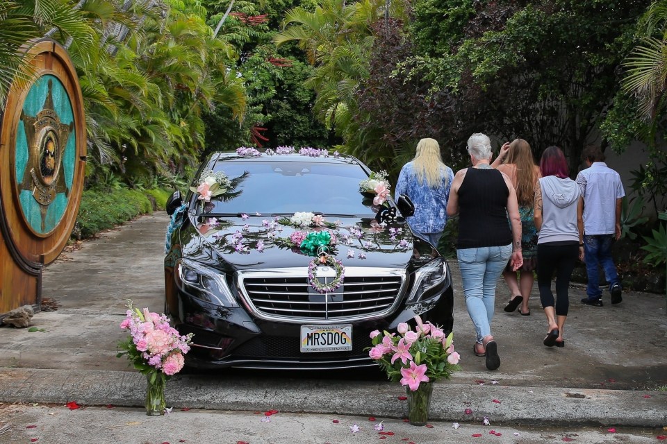  Dog cut a sombre figure as he was seen near the family home being comforted by friends