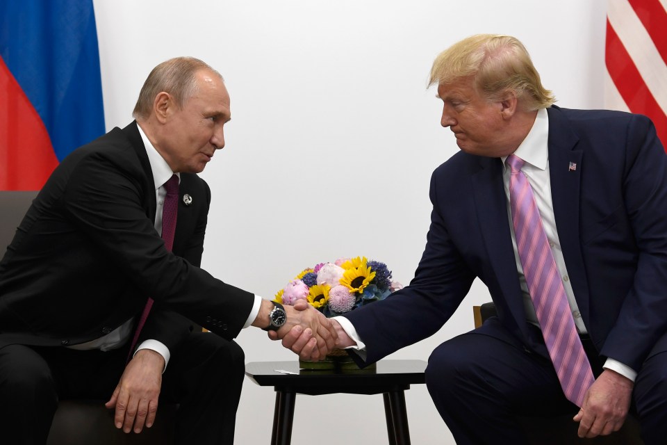 They then shook hands, with Trump smiling as he told Putin 'don't meddle in the election, please'