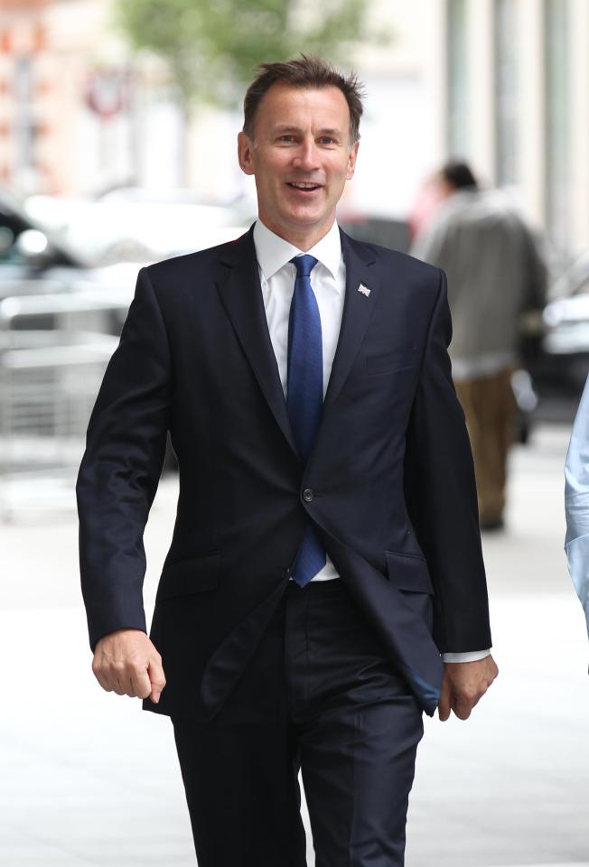  Jeremy Hunt has tried to woo Tory members by unveiling £20billion business plans to bail out businesses hit by No Deal if he became PM